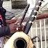 Street Performers Kora African Musical Instruments From Gambia