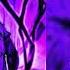 STAY WITH ME X SHADOW LADY Audio Edit EXTENDED By Skyfret TikTok Edits