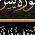 الشيخ القارئ وليد ابراهيم الفلوجي ماتيسر له من سورة يس