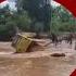 20 Killed As Kenya Bus Plunges Off Bridge Into River