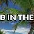 L A B IN THE AIR LYRICS