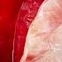A Journey Through The Heart