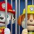 Sheriff Chase And Skye Successfully Catch Criminals PAW Patrol Funny Animation Rainbow 3