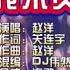 赵洋 负我不负她 DJ 伟然版 KTV 导唱字幕 备有伴奏视频