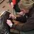Injection Training With Waffles Cape Porcupine