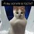 ваш билетик мой билетик рекомендации Cat видео Shortvideo кот котята котики Shorts