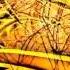 Psychedelic Chillout Mix Psychill Downtempo Ambient Psybient
