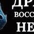 ГОЛОВА ДРАКОНА УБРАТЬ источник нервозности Восстановление нервной системы