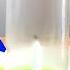 The Rising Water Science Experiment Why Does Water Rise Up Explained