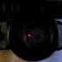 Biocular Vs Monocular Night Vision