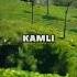 KAMLI Cover By Meghna Shorts Cover Youtube
