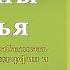 Аудиокнига Гормоны счастья Лоретта Грациано Бройнинг