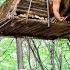One Night Alone In The Jungle No Rules Just Survival Bushcraft Skills Titan Jangle