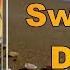 Tash Sultana Sweet Dandy Lyrics