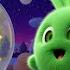 The Great Bunny Hopperetta 5 Friends On Stage LIVE SUNNY BUNNIES TV Cartoons For Children