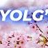 Lola Ahmedova Лола Аҳмедова Yolg Izginam Music Uzbekistan Live Youtube Newyork