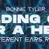 Bonnie Tyler Holding Out For A Hero TECHNO HOUSE Remix By Different Ears