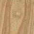 Paulownia Lumber South Carolina USA Paulownia Paulowniatree Forsale Lumber Boards Trees Kiri