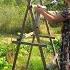 The Season Of Growth Things Change On Our Off Grid Homestead In Portugal