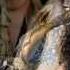 Candy Dulfer Wish You Were Here HQ