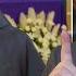 Novus Ordo Overhaul In Charlotte A Blessing Or A Blunder
