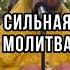 У сильного ума должна быть сильная молитва Отец Андрей Ткачев Shorts