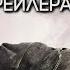 ДЖИПЕРС КРИПЕРС 3 ОБЗОР ПЕРВОГО ТРЕЙЛЕРА