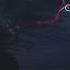 Hogwarts Legacy Richard Jackdaw The Forbidden Forest Darkarts Deluxeedition Hogwarts Leviosa