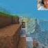 Minecraft Bedrock Skeleton Moment