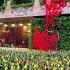 С 8 марта дорогие девушки и женщины Armenia Yerevan 8марта March8 8march Khachik Tour