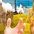 GORİL FARUK UN EVİNİ GİZLİCE KÜMESE ÇEVİRDİM GorilFaruk