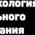 Поток Психология оптимального переживания Михай Чиксентмихайи Аудиокнига в кратком изложении