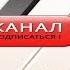 КРАСИВОЕ ВЕСЕННЕЕ ПЕНИЕ ПОПУГАЯ ПОЮЩИЙ ПОПУГАЙ ПЕНИЕ ПТИЦ ГОЛОСА ПТИЦ зеленый попугайчик TV