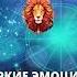 Три знака Зодиака будут прыгать от радости гороскопназавтра гороскопнасегодня гороскоп