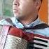 Кабы не было аккордеонист песня гармония баян слушать Music Accordion