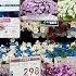 Mother S Day In Japan
