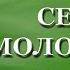 Омоложение организма Молодость и красота Медитация на омоложение организма
