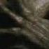 The Wolfman HD Trailer