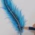 How To Draw A Feather Easy How To Draw Blue Feathers STUNNING Feather