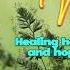 Just Over The Mountain In Grace Valley Healing Comes In Many Forms Audiobook P1