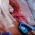 Yellowstone A Rattlesnake Traps Teeter In Her Tent And Rip Rushes To Save Her
