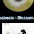 Tomppabeats Blossom Samurai