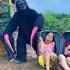 2 Ferocious Gorilla Monsters Attack 2 Brave Girls And The Poor Old Man Hides In Fear