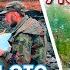 Вот как утонули дома Потоп 19 века Часть 2 Отличительные черты