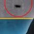 BURLISON Says He Has Been Told That The TIC TAC UFO Is Lockheed Martin Technology