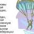 обж 11 класс 2 неделя