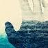 Elbe The Terminal Summit Official Lyric Video 2019