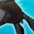 Ocean Animals For Kids Whales Sea Otter Orca Sea Lion More