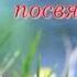Слайд шоу Маме 65 на татарском