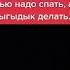 Аааа кот домашниеживотные